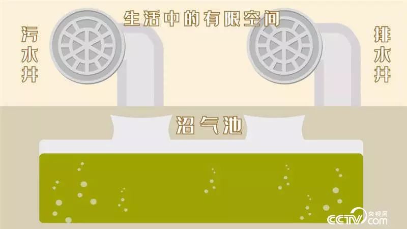 1697259025167953.jpg 2.jpg